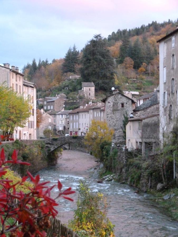 Saint-André-de-Valborgne Cocon Des Cevennes - Pierre De Lune מראה חיצוני תמונה